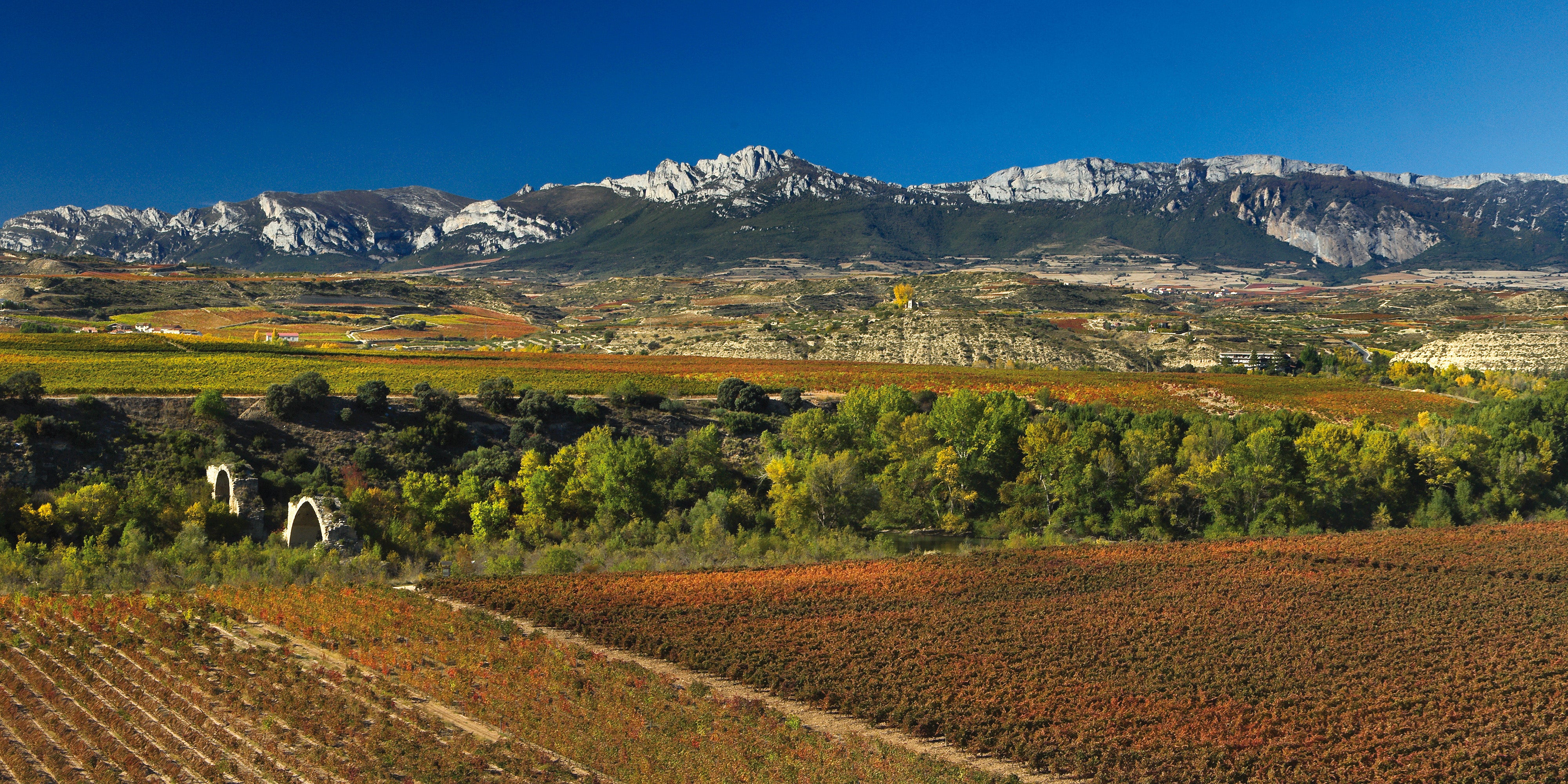 BODEGAS MURIEL: PRESERVING RIOJA'S WINE LEGACY – Family Wineries