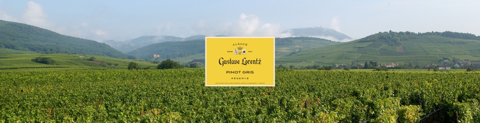 Henri Fantin-Latour、海外版超希少レゾネ、新品高級額装付 Gustave Lorentz – Family Wineries Direct