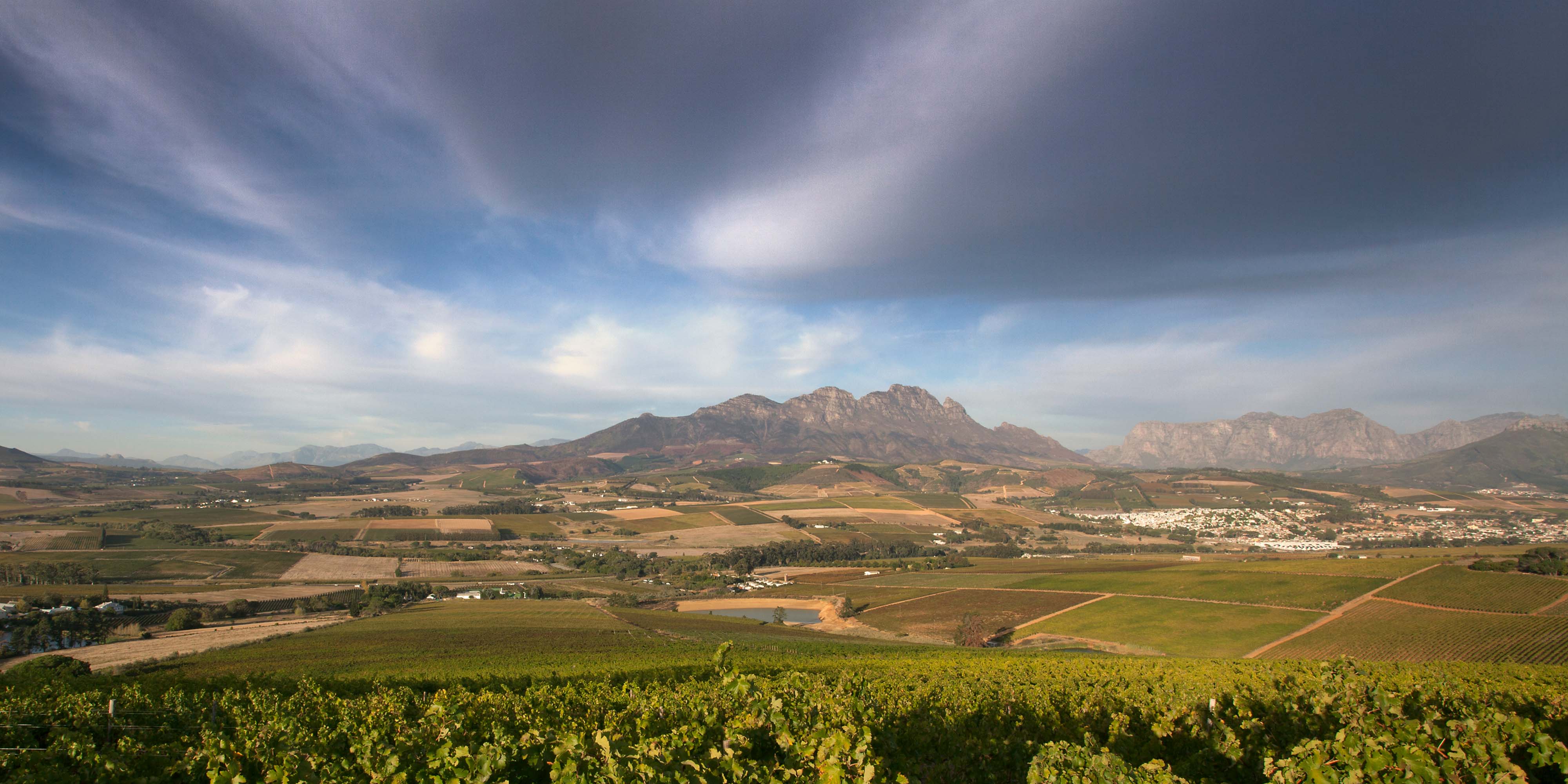 South African Wines – Family Wineries Direct