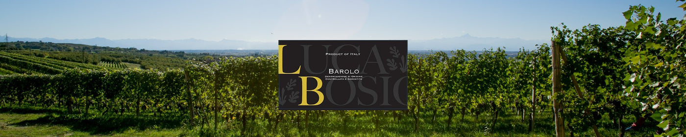 Luca Bosio Italian Wines