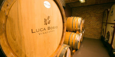 Luca Bosio Takes His Wines to the Next Level