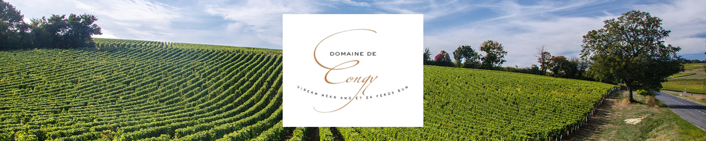 Domaine de Congy