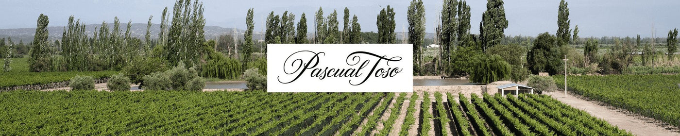 Pascual Toso south american cabernet and malbec wines.