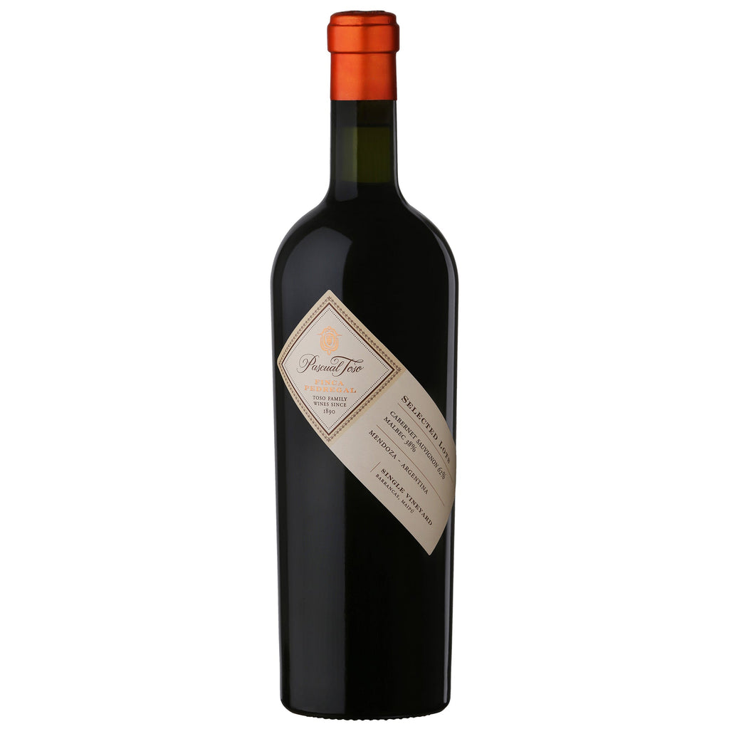 2021 Pascual Toso Finca Pedregal | Family Wineries Direct
